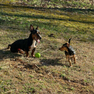 Profile photo of Brandon_M