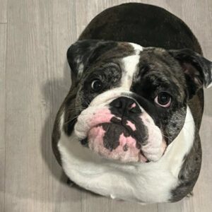 Profile photo of Iduno